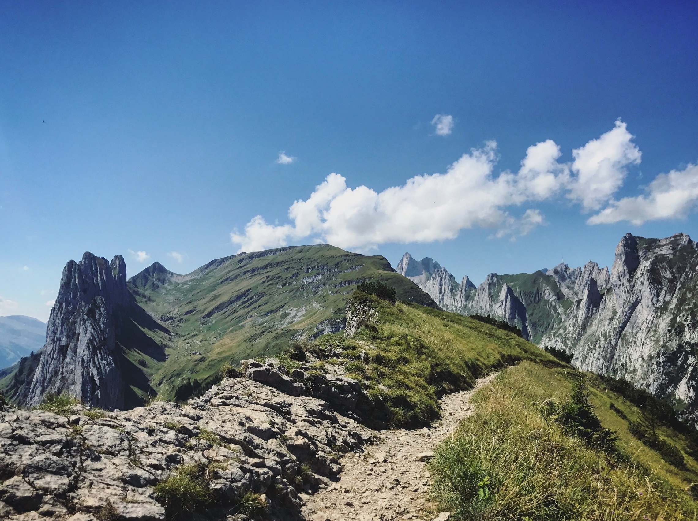 MiFID II Risk Profiles: Is it like hiking Alpine mountain trails?